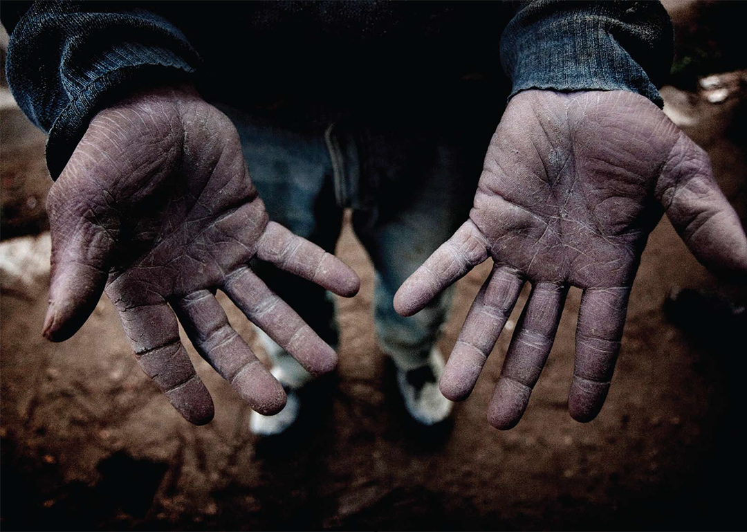Entre el dicho y el hecho: Pasado, presente y futuro del derecho ambiental