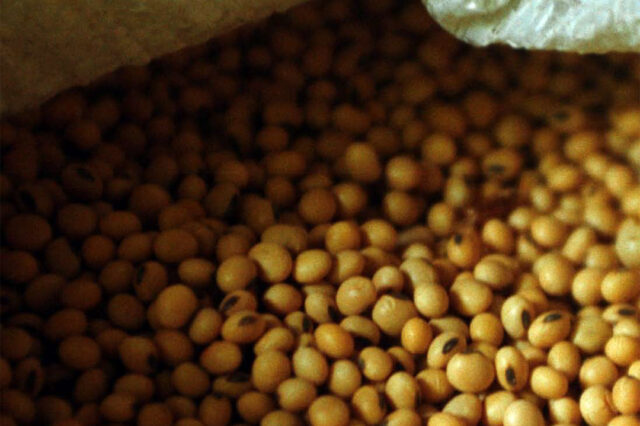 Un mundo desigual: La Argentina y las negociaciones agrícolas
