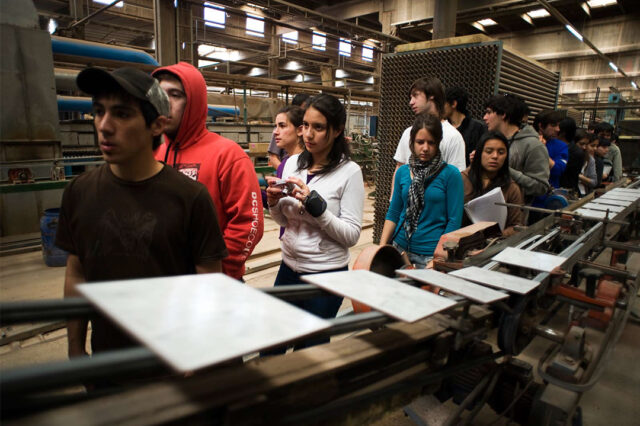 Educación y trabajo: calificaciones y formación profesional