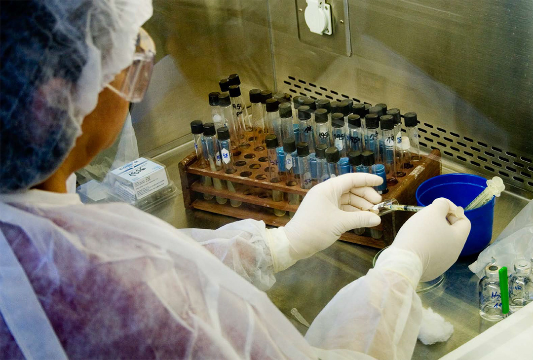 Vigencia del pensamiento latinoamericano en el campo CTS: La producción científica-tecnológica y los criterios para su evaluación