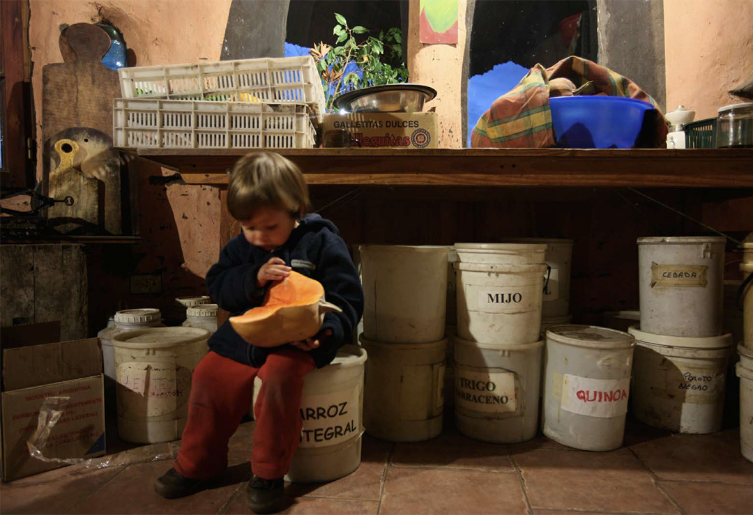 Editorial: Sumas y restas de la actividad agropecuaria