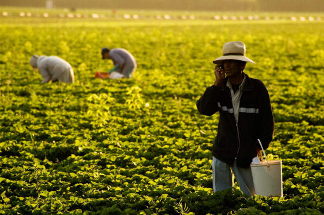 Expansión y rentabilidad agrícola en la posconvertibilidad