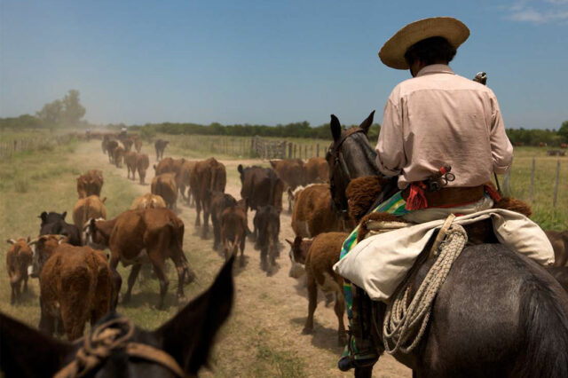 Los cambios en la producción ganadera en la posconvertibilidad La expansión sojera y su impacto sobre la ganadería: Las nuevas formas de producción