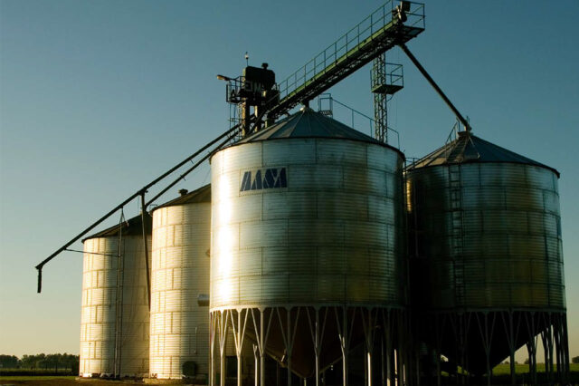 El rol del Estado en el modelo de desarrollo biotecnológico agrario: El caso de la Argentina de 2003 a 2010