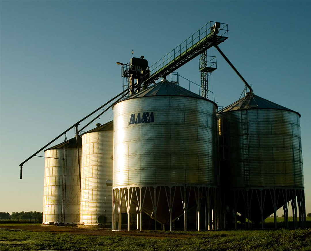 El rol del Estado en el modelo de desarrollo biotecnológico agrario: El caso de la Argentina de 2003 a 2010