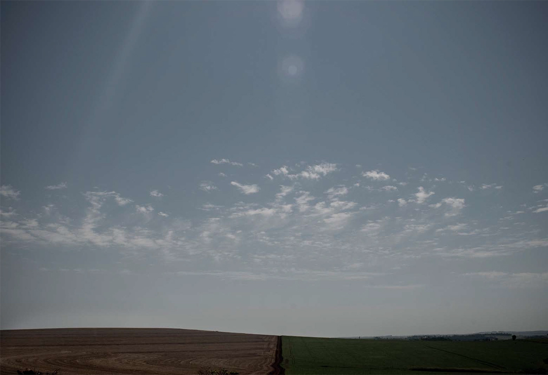 Los propietarios de la tierra como protagonistas del actual paradigma productivo del agro pampeano