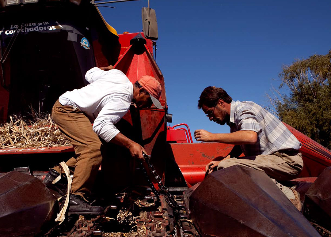 Las incidencias de los paradigmas tecnológicos mundiales sobre la pampa húmeda argentina desde el siglo XIX