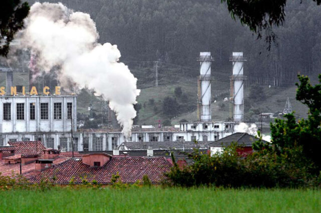 ¿Hacia una economía verde?