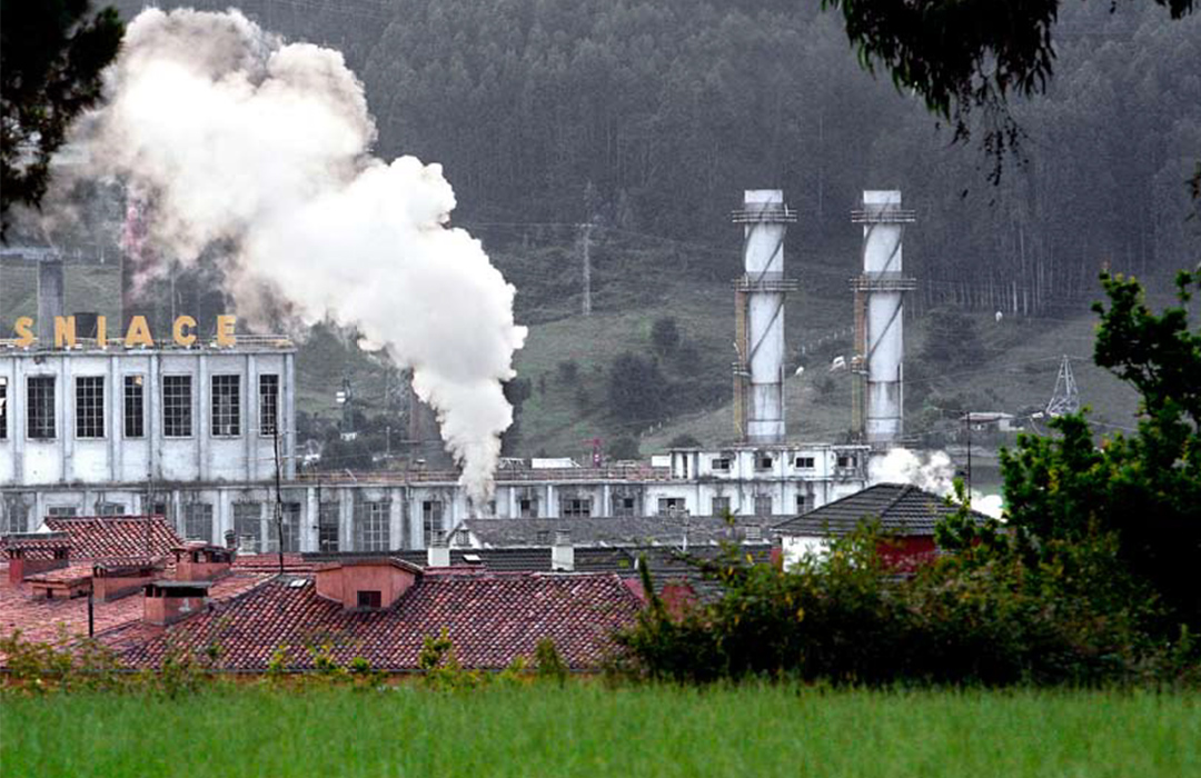 ¿Hacia una economía verde?