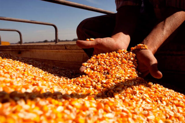 Biotecnología y Bioindustrias un desafío para la Argentina