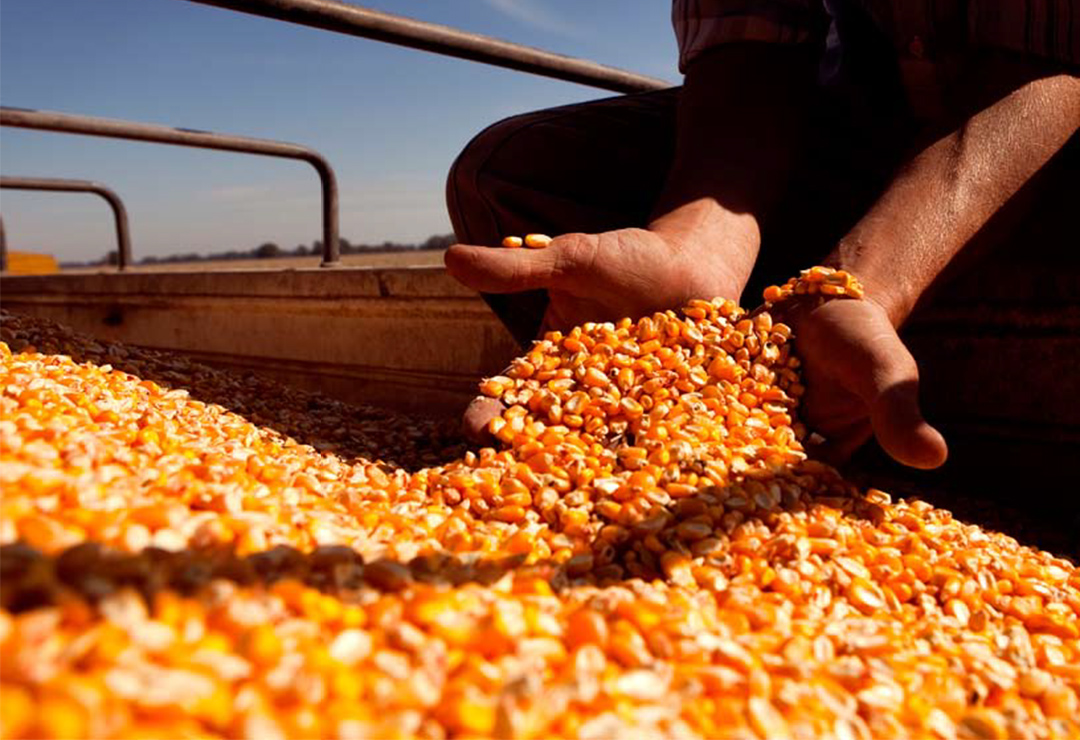 Biotecnología y Bioindustrias un desafío para la Argentina