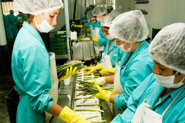 Agroindustria: hacia un enfoque de cadenas globales de valor (CGV)