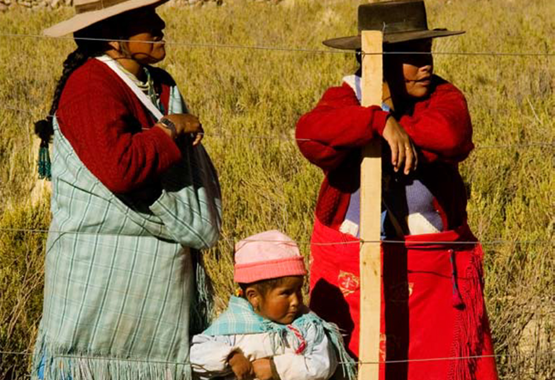 Estado y colonialidad en América latina: Hacia una refundación de la teoría política desde una perspectiva plurinacional
