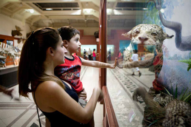 Arte e historia en los museos: nuevos y viejos desafíos