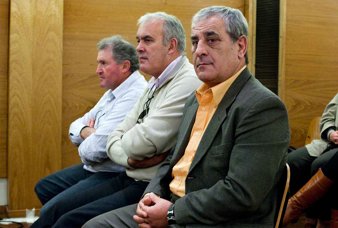 Oralidad de los procesos civiles y sus mitos