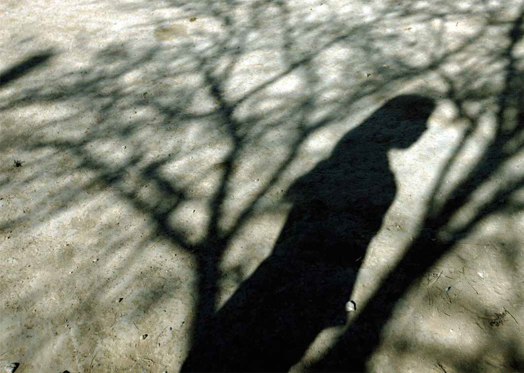 Editorial: De la desigualdad a la diversidad