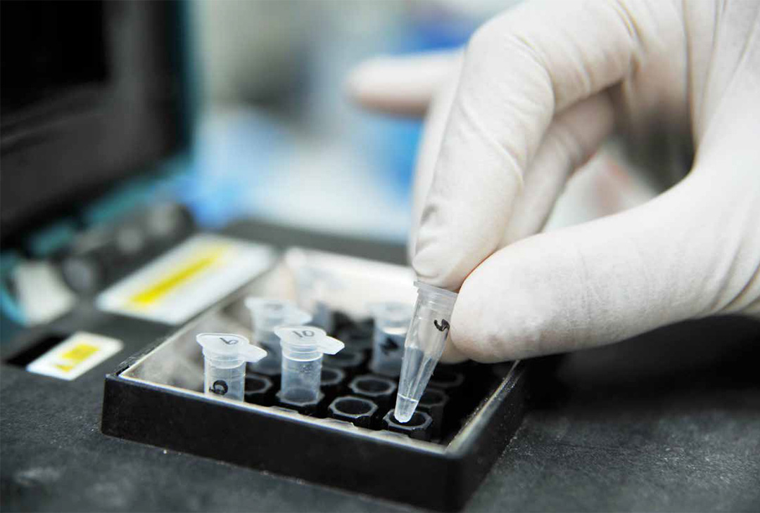 Un nuevo rol para la producción del conocimiento en la Argentina