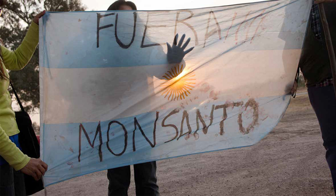 Transformaciones productivas agropecuarias, apropiación de los recursos y movimientos sociales