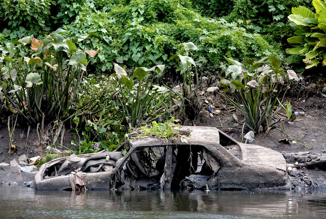 Los Derechos de la Naturaleza. Fundamento para otra economía