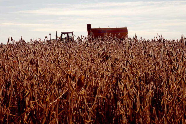 Soja, ambiente y salud: debates pendientes en relación al actual modelo de desarrollo para el campo argentino