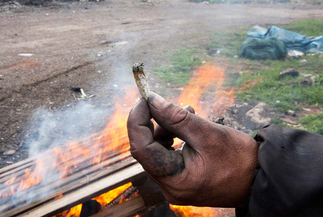 Criminalización de los usuarios de drogas en la Argentina