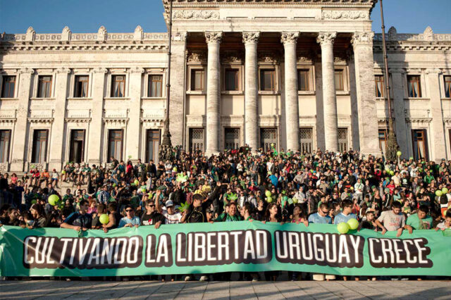 Apuntes sobre la transición de las políticas de drogas en Uruguay