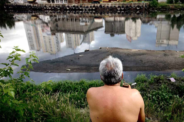 Editorial: Naturaleza y vida, ¿el precio del desarrollo?