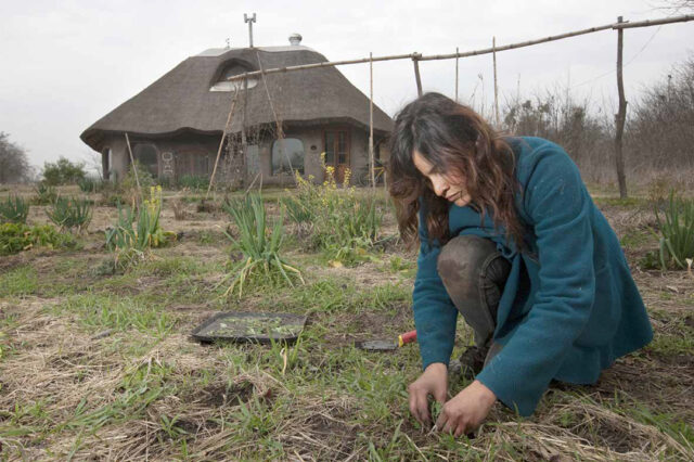 La economía verde en el camino hacia el desarrollo sostenible