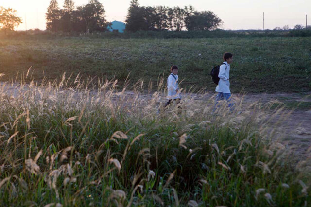 Pensamiento ambiental latinoamericano y Educación Ambiental