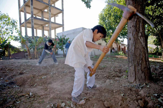 La situación laboral de los jóvenes en la Argentina: diagnóstico actual y principales cambios en el período 2003-2014