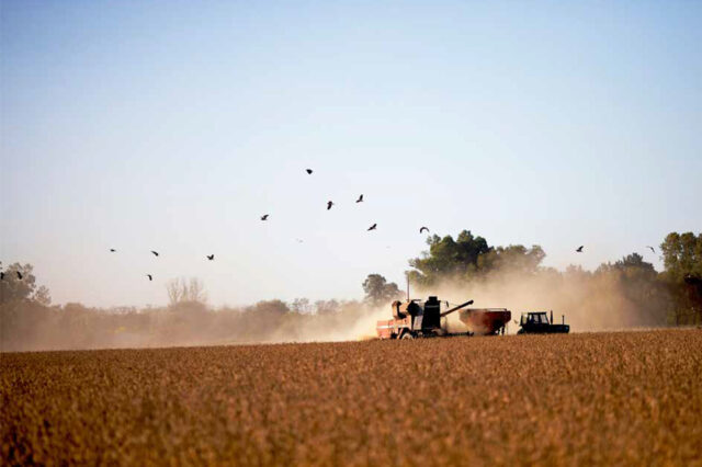 Agricultura y extractivismo