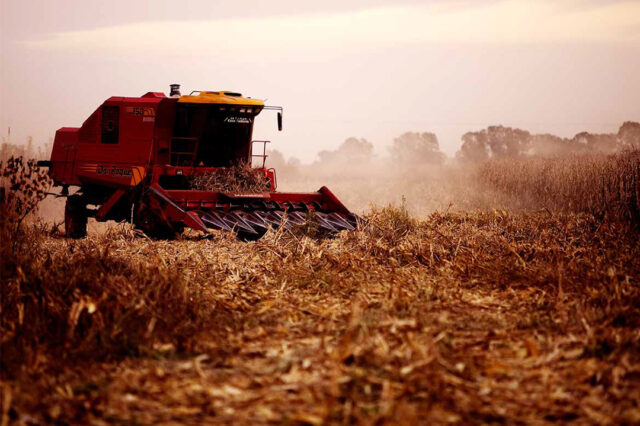 Valorización del capital y adquisición de tierras en América latina