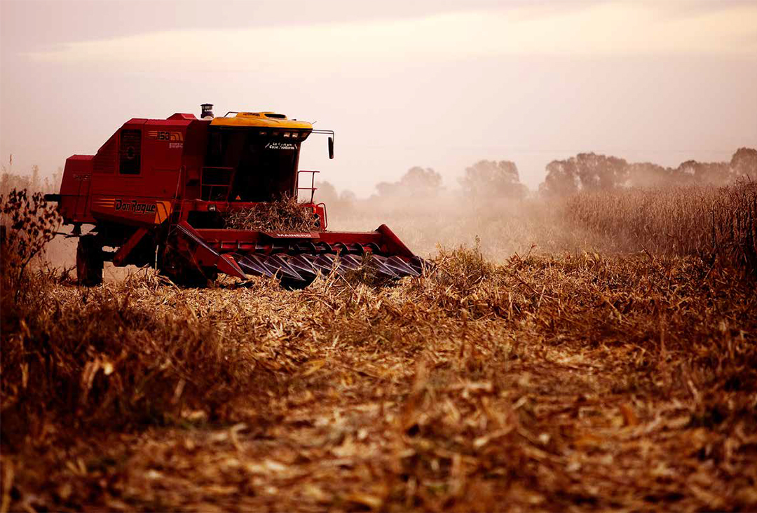 Valorización del capital y adquisición de tierras en América latina