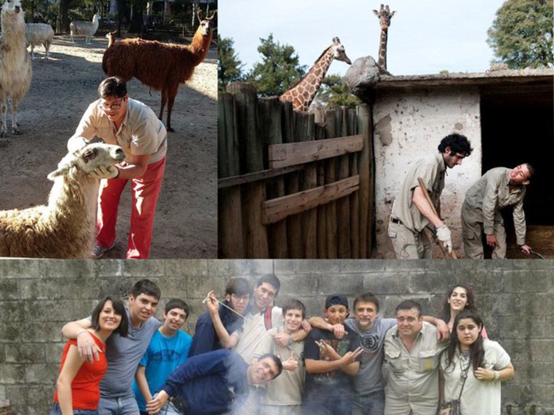 Experiencias innovadoras en salud mental. Del zoo al arte: “Del invento a la herramienta”