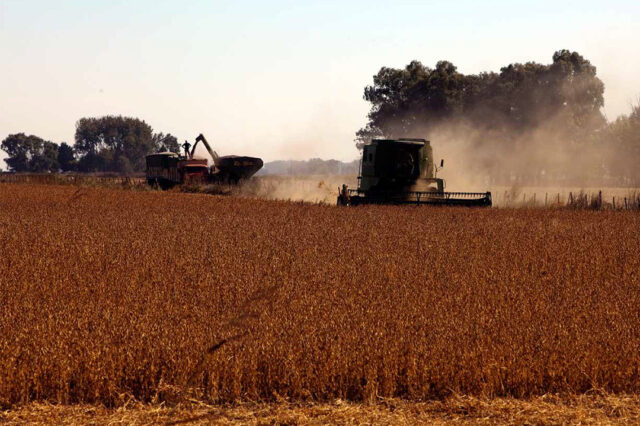 Los encantadores de la pampa. Transformaciones de la elite agraria en la Argentina moderna