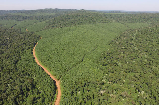 Paisajes Productivos Protegidos: una herramienta para “bajar a tierra” los compromisos ambientales de los Objetivos de Desarrollo Sostenible