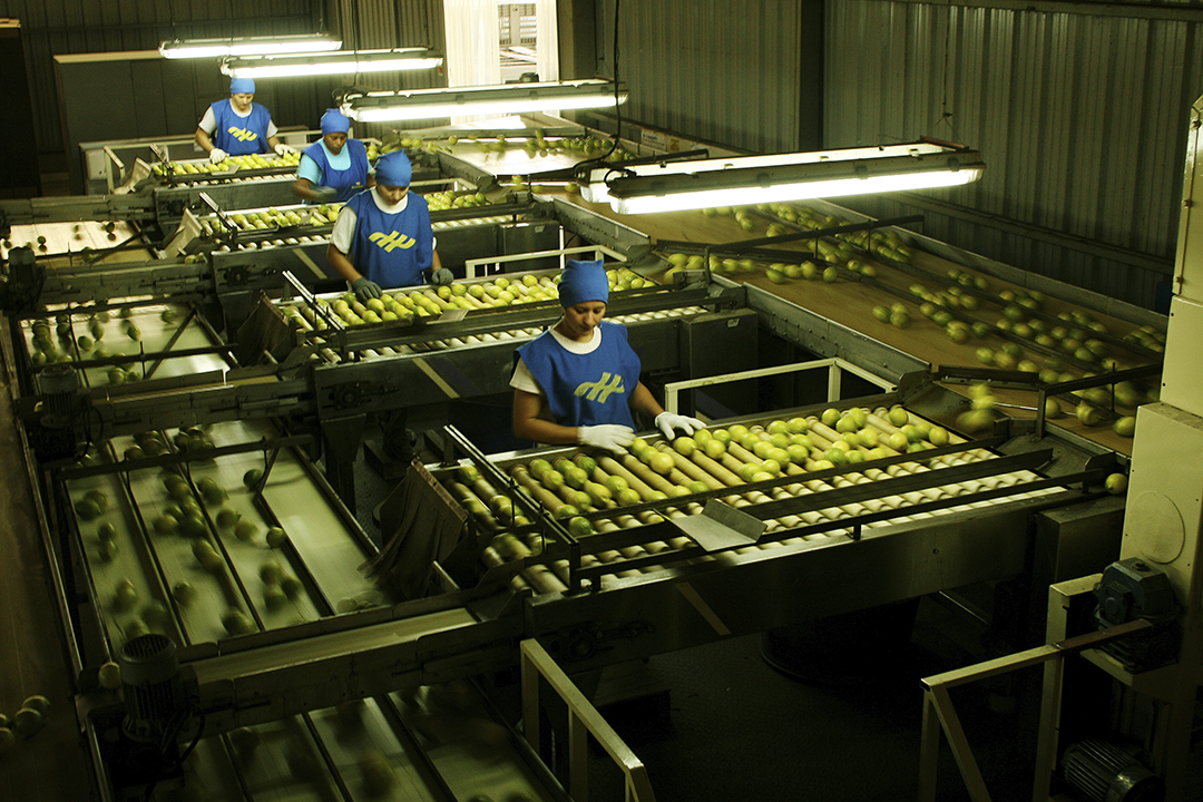 Las tasas laborales en el marco de los ciclos en el siglo XXI