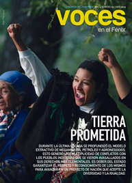 N° 25: Pueblos indígenas