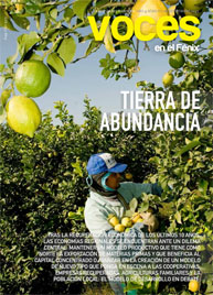 N° 28: Economías regionales