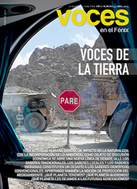 N° 43: Desarrollo y medio ambiente